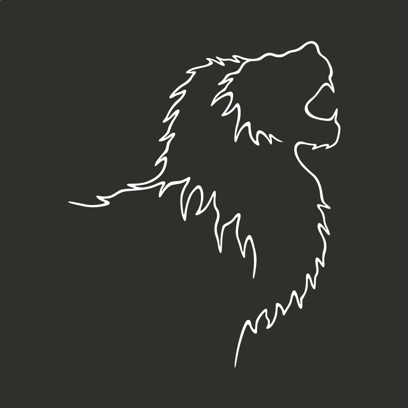 Le lion d&rsquo;Afrique