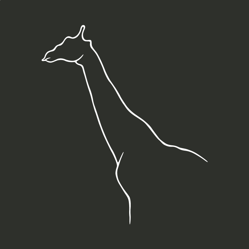 La girafe de Rothschild