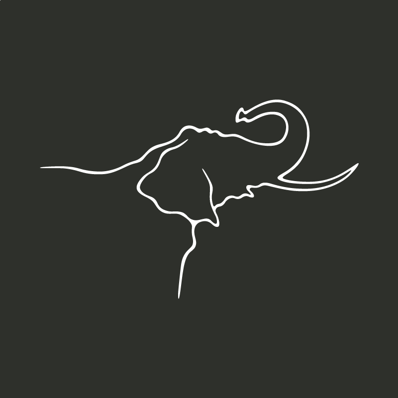 L’éléphant d’Angola