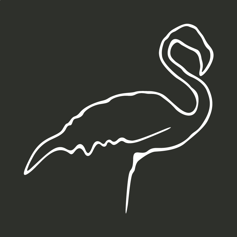 Le flamant des Caraïbes