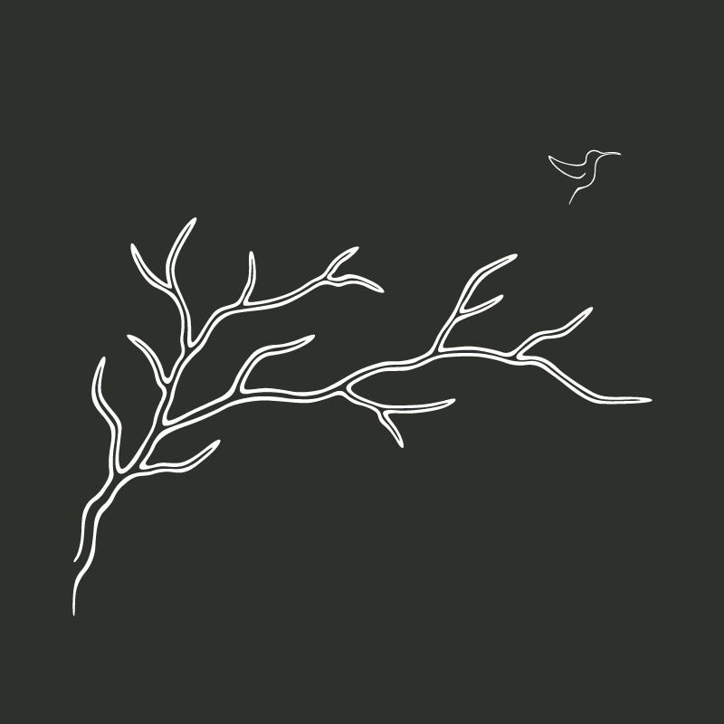 Le rameau des forêts