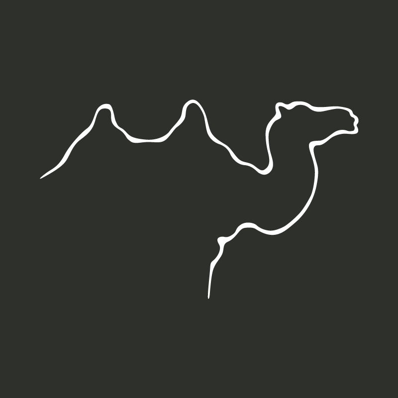 Le chameau de Bactriane