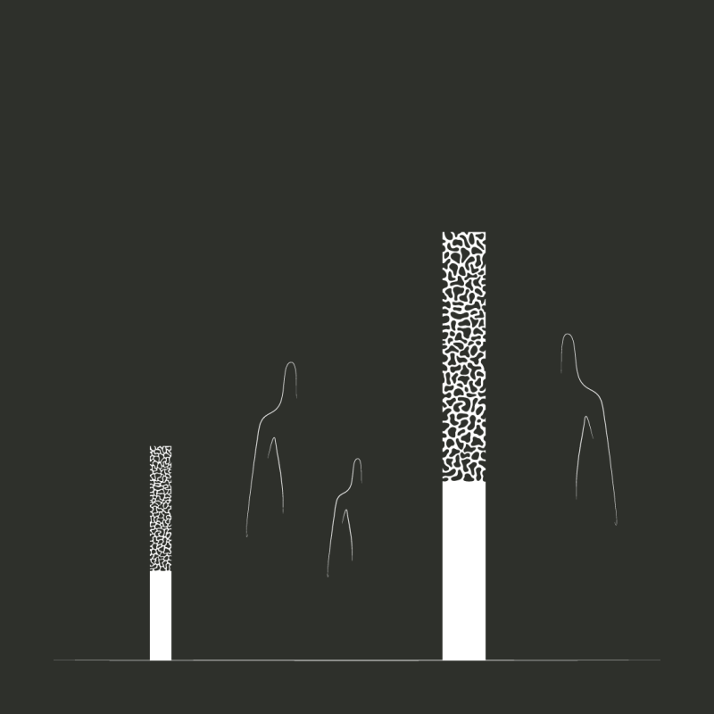 Le hêtre d&rsquo;extérieur