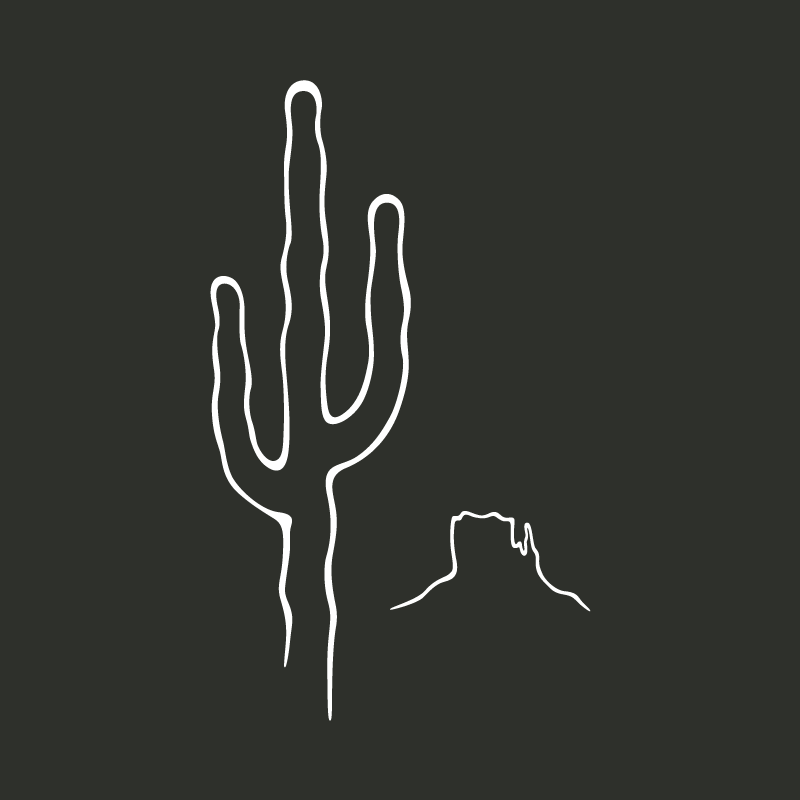 Le cactus Saguaro