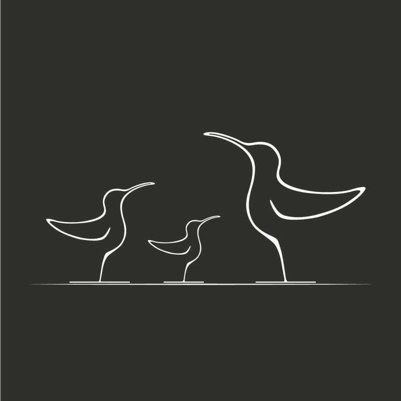 Le colibri flamboyant